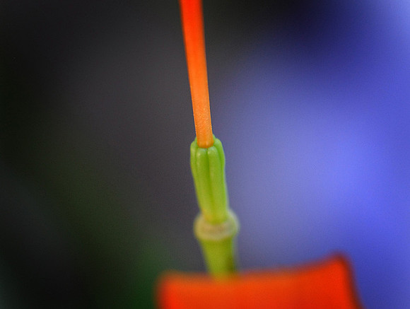 KG2_4957p.jpg