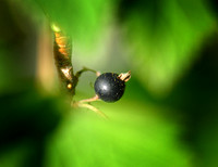 KG2_4923p.jpg