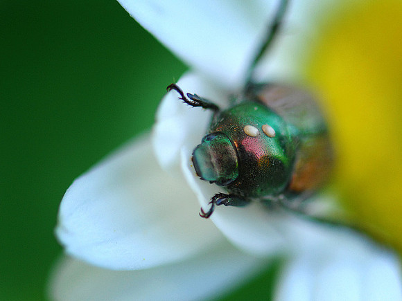KG2_4910p.jpg