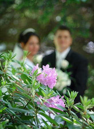 DSC_9979.jpg