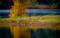 Ashley Reservoir October 2018 - II