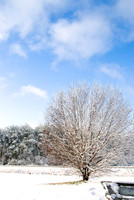 DSC_2888.jpg