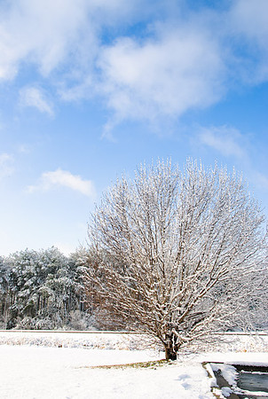 DSC_2888.jpg