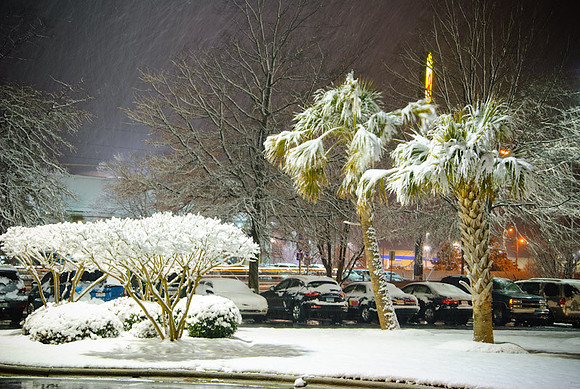 DSC_2837.jpg