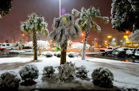 DSC_2819.jpg