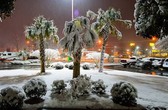 DSC_2819.jpg