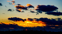 DSC_2023.jpg