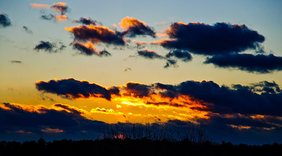 DSC_2023.jpg