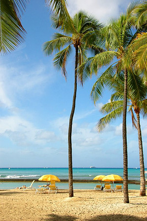 Our beach