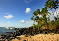 Turtle beach