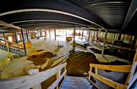 D7K_6246-Edit.jpg