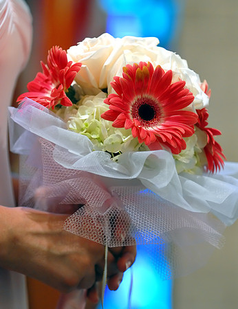 DSC_4849p.jpg