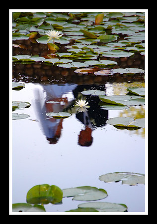 DSC_3974p.jpg
