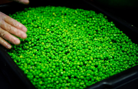 D3S_5898.jpg