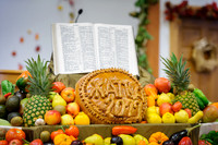 Harvest 2012