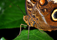 DSC_2555.JPG