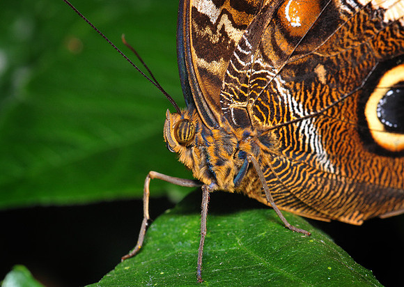 DSC_2555.JPG