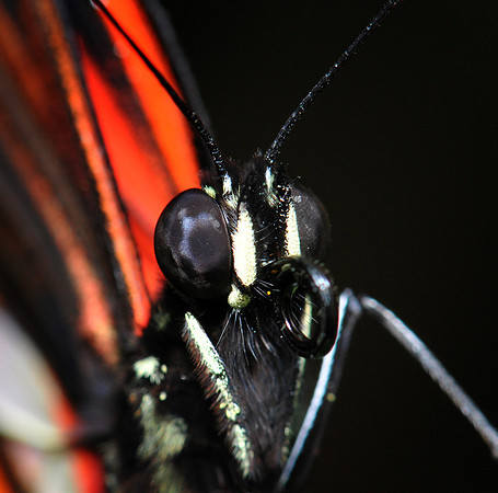 DSC_2629.JPG