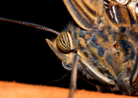 DSC_2537.JPG