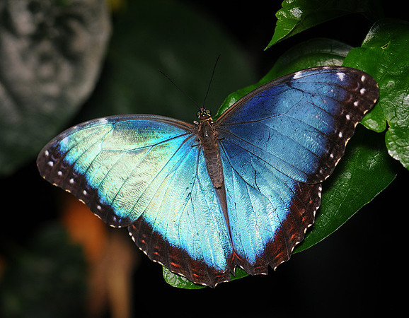 DSC_2400.JPG