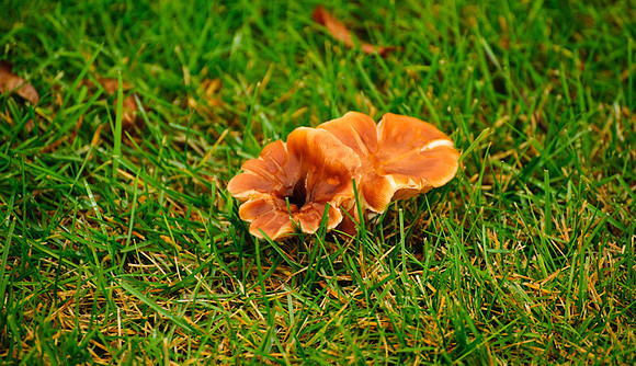 700_5205.jpg