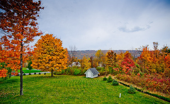 700_3793.jpg