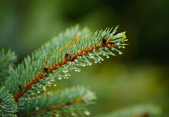 700_5178.jpg