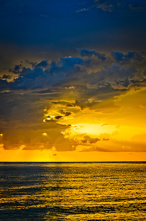 D7K_4418.jpg