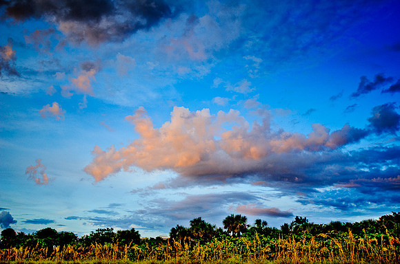 D7K_4456.jpg