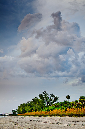 D7K_4372.jpg