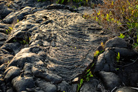 700_7750.jpg