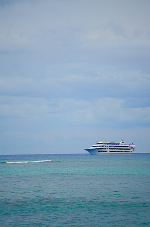 700_8420.jpg
