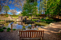 Stanley Park, May 2019