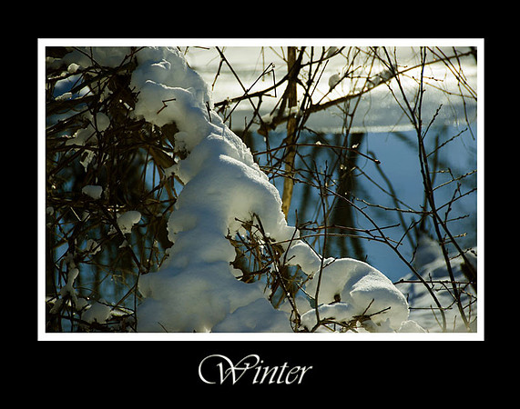 DSC_0843b.jpg