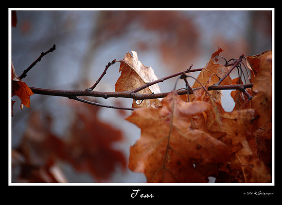 DSC_1363a.jpg