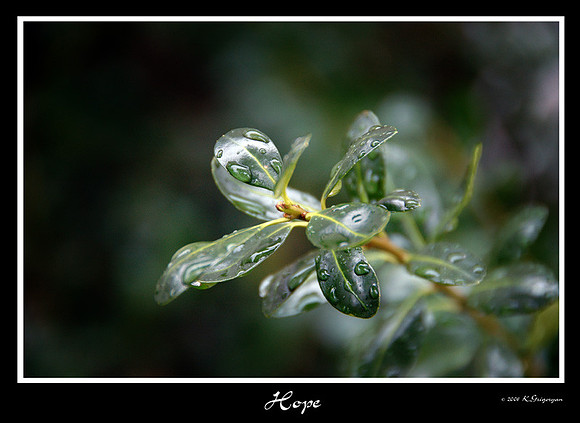 DSC_1505a.jpg