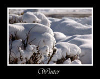 DSC_0768b.jpg