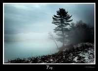 DSC_1341a.jpg