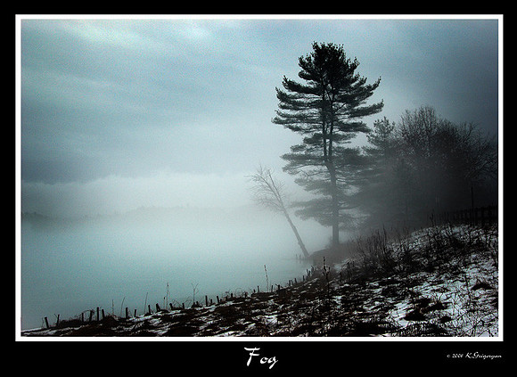 DSC_1341a.jpg