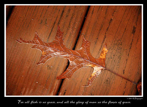 DSC_1531a.jpg