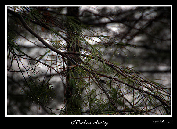 DSC_1357a.jpg