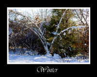 DSC_0866b.jpg