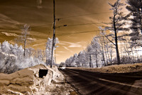 DSC_9393-Edit.jpg