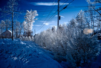 DSC_9408-Edit.jpg