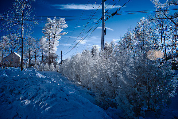 DSC_9408-Edit.jpg
