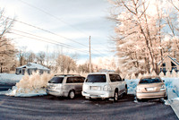 DSC_9389-Edit-Edit.jpg