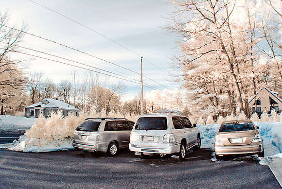 DSC_9389-Edit-Edit.jpg