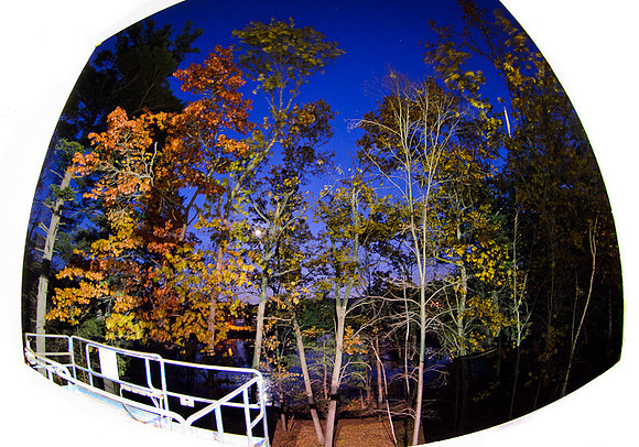 D7K_7540.jpg