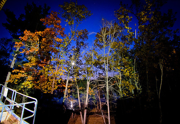 D7K_7535-Edit.jpg