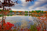 D7K_0529.jpg